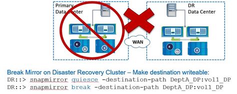 snap mirror failover.